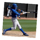 Baseball Spring Training Photo