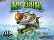 Florida  Bass Fishing Photo