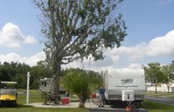 Fire Rings for a Great Camping Experience
