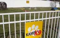 Pets love our Kamp K-9