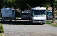 Camp in the Shade