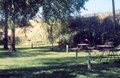 Grassy Sites for Tents