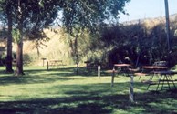 Grassy Sites for Tents