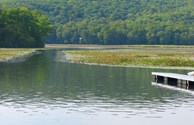 Day at the Lake.