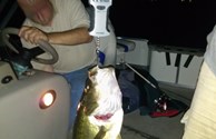 Fishing on the lake...