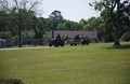 Hay Rides