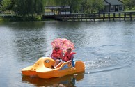 Paddle Boats
