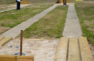 Horseshoes