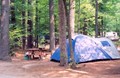 Tenting in the Forest