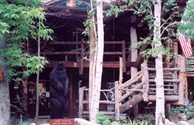 Main Lodge