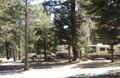 FULL HOOK UP CAMPSITES UNDER TALL PINES