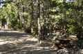 SHADED WOODSY CAMPSITES