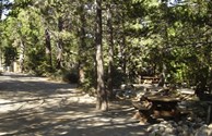 SHADED WOODSY CAMPSITES