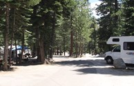 SHADY FULL HOOK UP CAMPSITES!