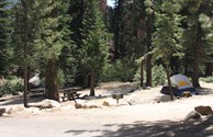 TENT CAMP UNDER TALL PINES BY ECHO CREEK!