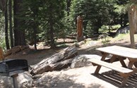 TENT SITE WITH  FOREST VIEW!