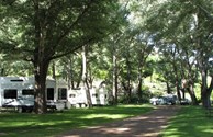 Beautiful Shady Pull Through Sites