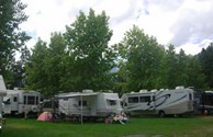 Meadow Area