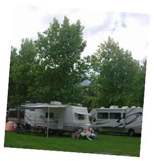 Meadow Area