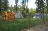 Pet Playground