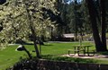 Gorgeous Spring Day