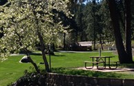 Gorgeous Spring Day