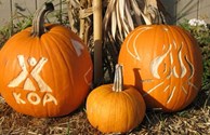 Fall is fun at Lena KOA