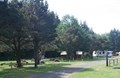Camp Under the Trees