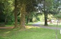 Inviting Tent Sites