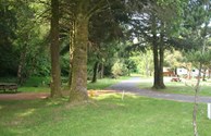 Inviting Tent Sites