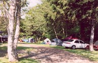 Set-up Your Tent On One Of These Sites