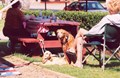 Bring Your Four Legged Friends!