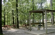 Tent Area
