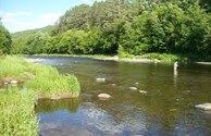 Picture Perfect Location