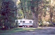 Shady RV sites.