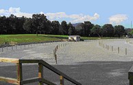 World's larget Drive-in