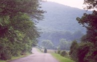 Our Driveway