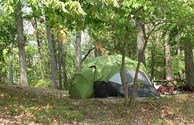 Wooded tent sites available