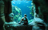 World famous Tennessee Aquarium