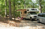 Back in wooded sites available