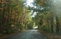 Fall 2010