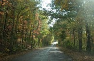 Fall 2010