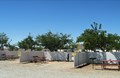 Tent Sites