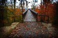 Bernheim Arboretum and Research Forest Photo
