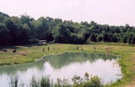Stocked Catch and Release Catfish Pond