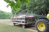 Cooling off on the hayride