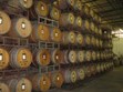 Llano Estacado Winery Photo