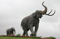 Lubbock Lake Landmark