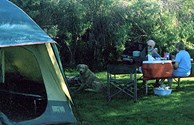 Grassy Tent Sites
