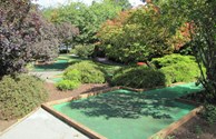 Minature golf